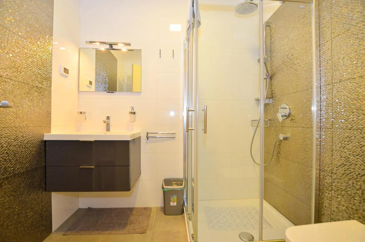 Tomo Borik Apartment Rovinj 0*,